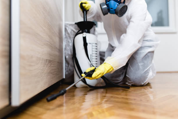Best Emergency Pest Control  in Plymouth, OH