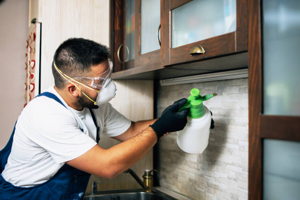 Best Pest Prevention Services  in Plymouth, OH