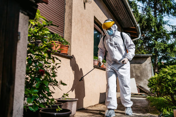 Best Best Pest Control Companies  in Plymouth, OH