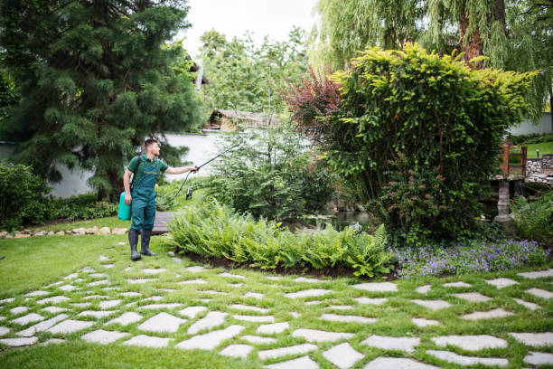 Best Pest Control for Homes  in Plymouth, OH
