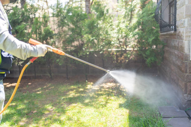Best Affordable Pest Control Services  in Plymouth, OH