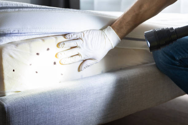 Best Pest Control Treatment  in Plymouth, OH