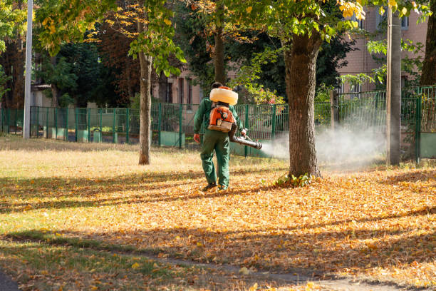 Best Best Pest Control Companies  in Plymouth, OH