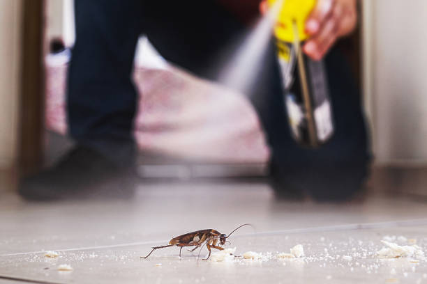 Best Mosquito Control Services  in Plymouth, OH